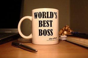 nice boss - pay scale.com