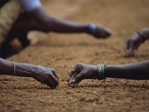 What seeds are you planting - Photo credit: http://science.nationalgeographic.com 