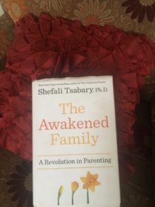 The Awakened Family by Shefali Tsabari