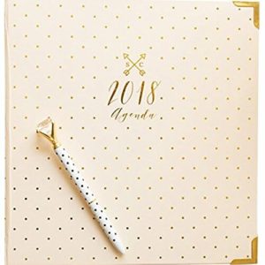 Goal Digger Planner 2018 Ivory Agenda - Photo credit: amazon.com